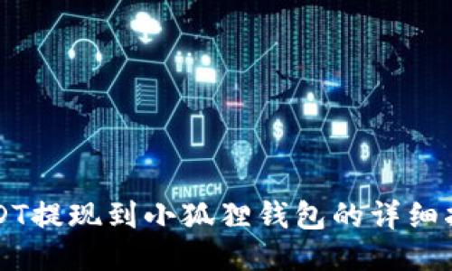 USDT提现到小狐狸钱包的详细指南