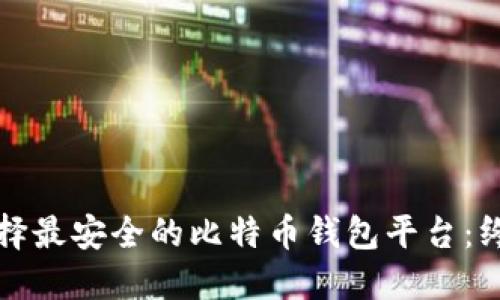 如何选择最安全的比特币钱包平台：终极指南