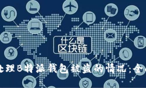 如何处理B特派钱包被盗的情况：全面指南