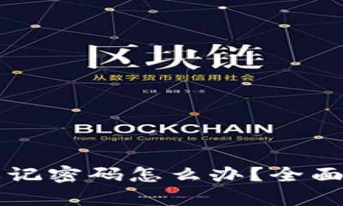 比特币钱包忘记密码怎么办？全面解决方案解析