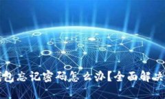 比特币钱包忘记密码怎么办？全面解决方案解析