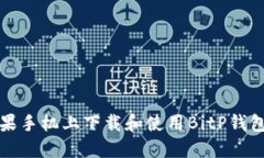 如何在苹果手机上下载和使用BitP钱包官网版本