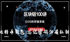  如何恢复比特币钱包：忘记密码但有私钥的解决