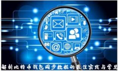 全面解析比特币钱包同步数据的最佳实践与常见