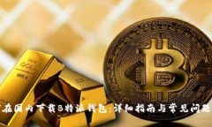 如何在国内下载B特派钱包：详细指南与常见问题