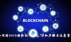 如何将SHIB提取到TP钱包：详细步骤与注意事项
