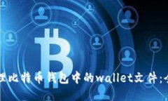 如何管理比特币钱包中的wallet文件：全面指南