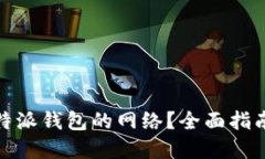 如何选择比特派钱包的网络？全面指南与实用建