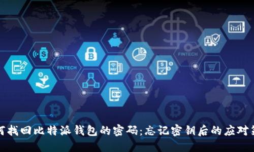 如何找回比特派钱包的密码：忘记密钥后的应对策略