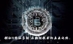 探秘B特派多链：区块链技术的未来之路