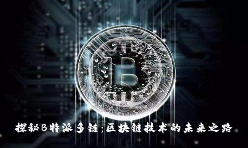 探秘B特派多链：区块链技术的未来之路