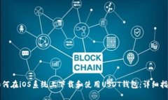 如何在iOS系统上下载和使用USDT钱包：详细指南