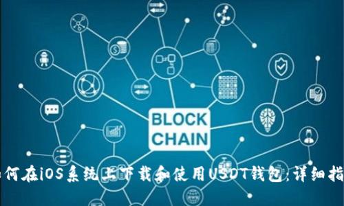 如何在iOS系统上下载和使用USDT钱包：详细指南