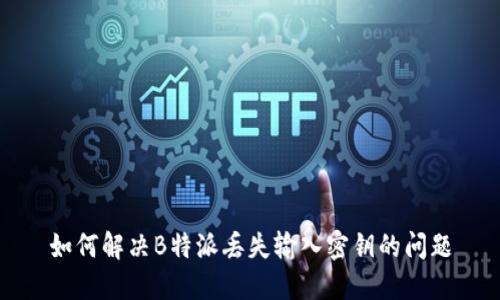 如何解决B特派丢失输入密钥的问题