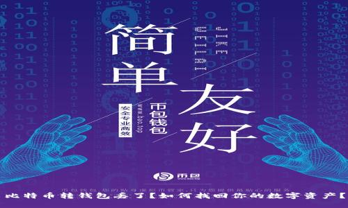 比特币转钱包丢了？如何找回你的数字资产？