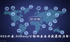 2025必看：BitKeep公链的未来与发展潜力分析