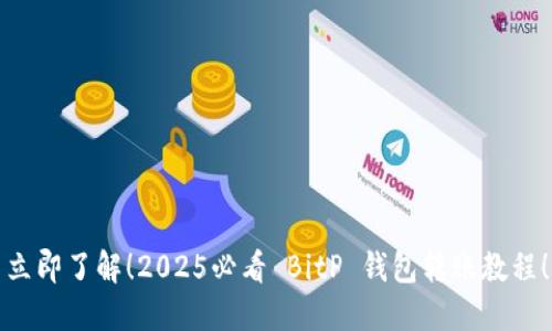 立即了解！2025必看 BitP 钱包转账教程！