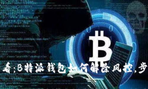 2025必看：B特派钱包如何解除风控，步骤详解！