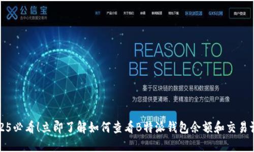 2025必看！立即了解如何查看B特派钱包余额和交易记录