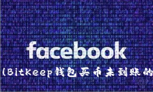 立即解决！BitKeep钱包买币未到账的处理方法