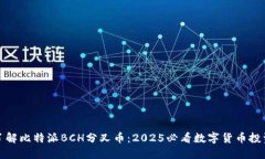 立即了解比特派BCH分叉币：2025必看数字货币投资
