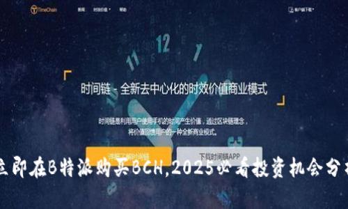 立即在B特派购买BCH，2025必看投资机会分析