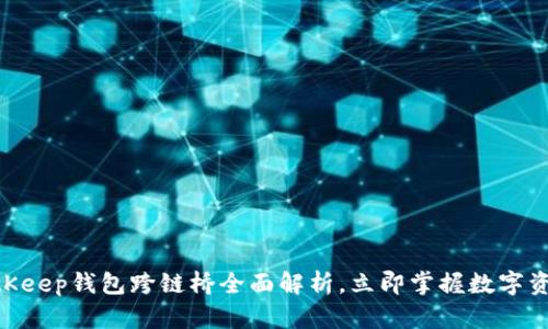 2025必看：BitKeep钱包跨链桥全面解析，立即掌握数字资产管理新风潮