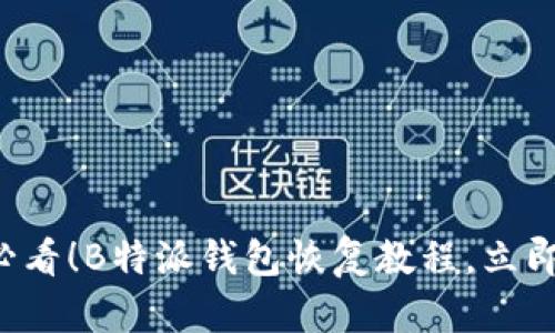 2025年必看！B特派钱包恢复教程，立即抢先学习