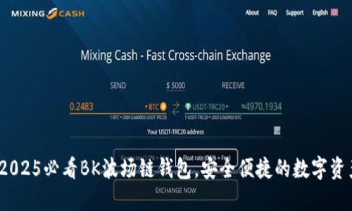 立即了解：2025必看BK波场链钱包，安全便捷的数字资产管理工具