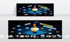 立即了解比特派TRON：2025必看全景解析！