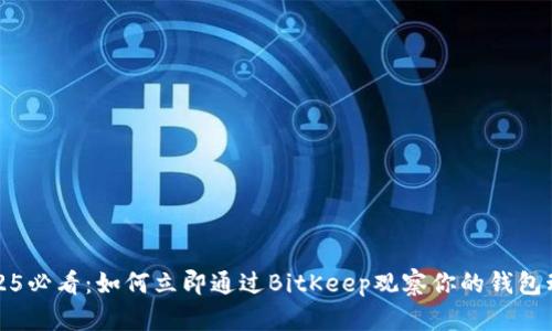 2025必看：如何立即通过BitKeep观察你的钱包动态