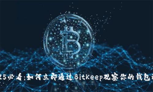 2025必看：如何立即通过BitKeep观察你的钱包动态