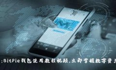 2025必看：BitPie钱包使用教程视频，立即掌握数字