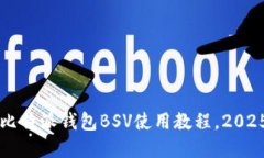立即了解比特派钱包BSV使用教程，2025必看指南
