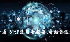 2025必看：BitP使用全指南，帮助你迅速上手！