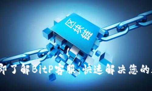 2023年立即了解BitP客服：快速解决您的疑问与问题
