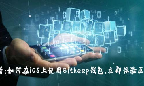 2025必看：如何在iOS上使用Bitkeep钱包，立即体验区块链世界
