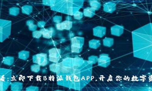 2025必看：立即下载B特派钱包APP，开启你的数字资产之旅！