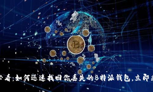 : 2025必看：如何迅速找回你丢失的B特派钱包，立即采取行动！