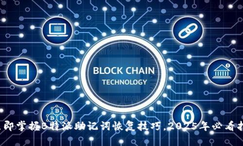  立即掌握B特派助记词恢复技巧，2025年必看指南