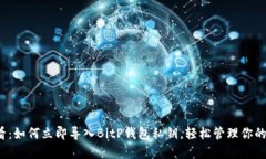 2025必看：如何立即导入BitP钱包私钥，轻松管理你