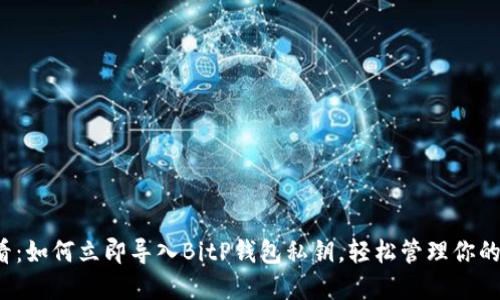 2025必看：如何立即导入BitP钱包私钥，轻松管理你的数字资产