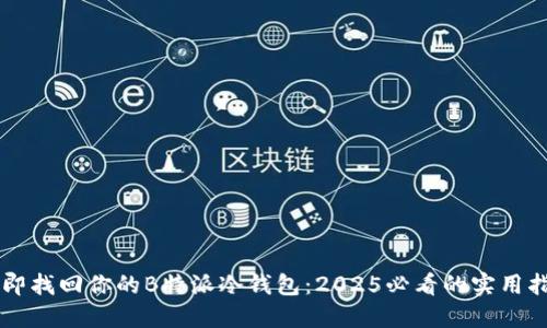 立即找回你的B特派冷钱包：2025必看的实用指南