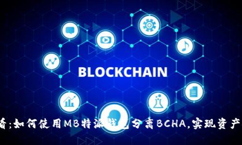 2025必看：如何使用MB特派钱包分离BCHA，实现资产安全管理
