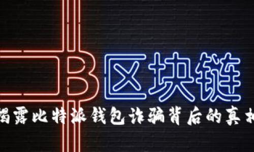 2025必看：揭露比特派钱包诈骗背后的真相与防范技巧
