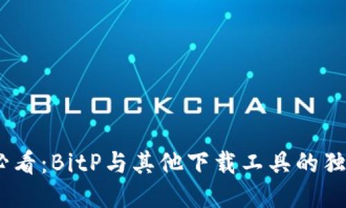 2025必看：BitP与其他下载工具的独特之处