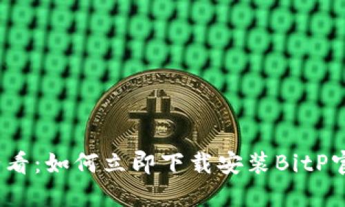 2023年必看：如何立即下载安装BitP官方最新版