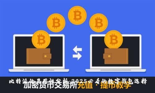 比特派的易用性分析：2025必看的数字钱包选择