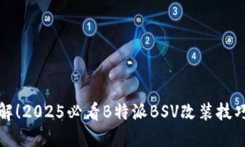 立即了解！2025必看B特派BSV改装技巧与建议