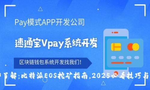 立即了解：比特派EOS挖矿指南，2025必看技巧与策略